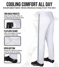 Proline Adult Full Length Baseball Pants with Stripes (White)