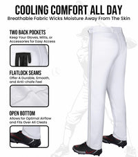 Proline Adult Full Length Baseball Pants with Stripes (White)