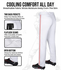 Proline Adult Full Length Baseball Pants with Stripes (White)